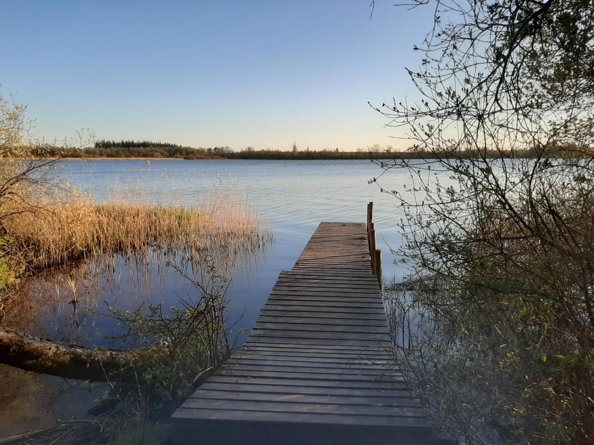 Stilbjerg Lägenhet Varde Rum bild