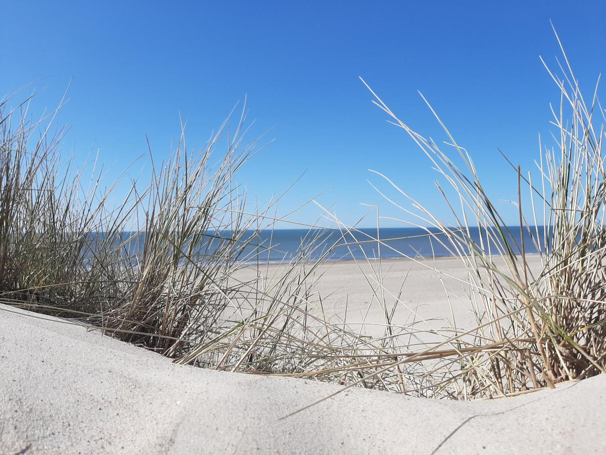 Stilbjerg Lägenhet Varde Rum bild